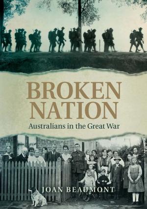 Cover of the book Broken Nation by Terry Whitebeach, Sarafino Wani Enadio