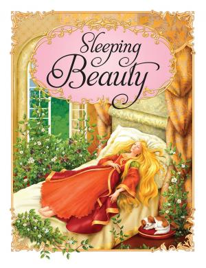 Cover of Sleeping Beatuy Princess Stories
