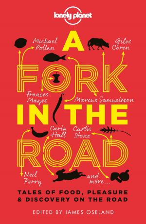 Cover of the book A Fork In The Road by Lonely Planet, James Bainbridge, Mary Fitzpatrick, Trent Holden, Brendan Sainsbury