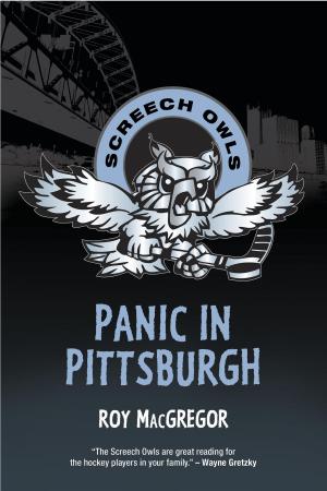 Cover of the book Panic in Pittsburgh by S.J. Laidlaw