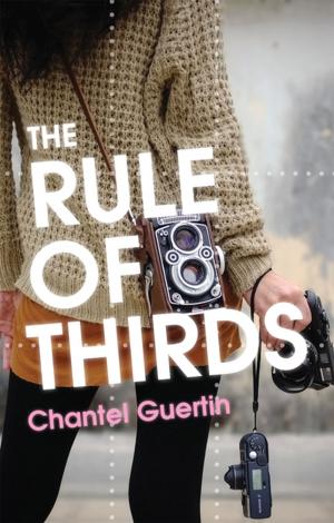 bigCover of the book Rule of Thirds, The by 