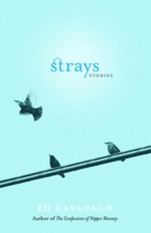 Cover of the book Strays by Darren Hynes