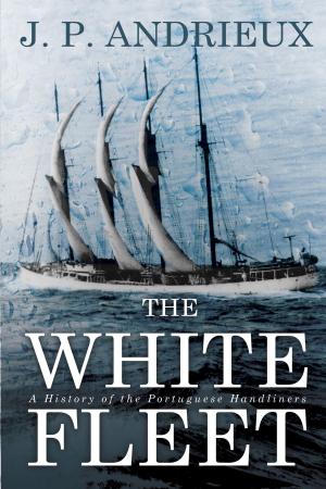 Cover of the book The White Fleet by J. P. Andrieux