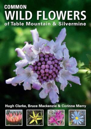Cover of the book Common Wild Flowers of Table Mountain & Silvermine by Véronique Tadjo