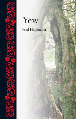 Cover of the book Yew by Edgar Williams