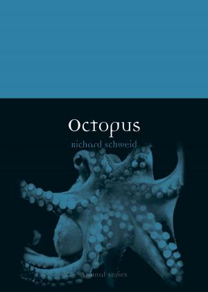 Cover of the book Octopus by Penny Sparke