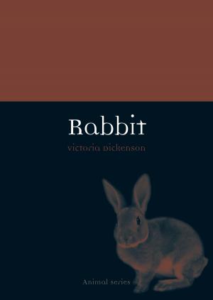 Cover of the book Rabbit by Michael Aung-Thwin, Maitrii Aung-Thwin