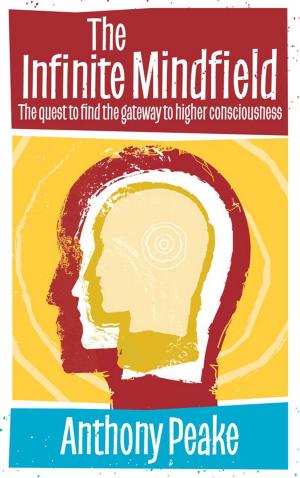 Cover of the book The Infinite Mindfield by Kaia Ra