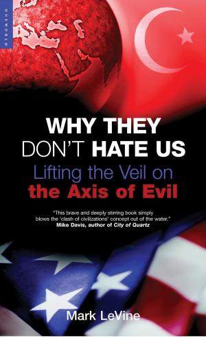 Cover of the book Why They Don't Hate Us by Deborah McDonald, Jeremy Dronfield