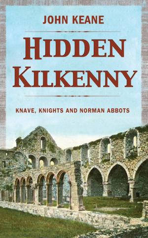 Book cover of Hidden Kilkenny