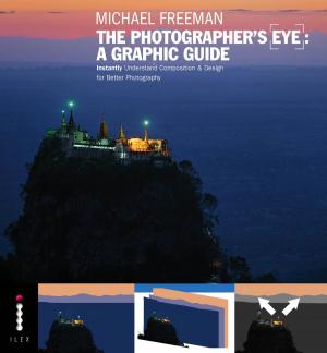 Cover of The Photographers Eye: A graphic Guide