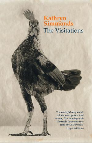 Cover of the book The Visitations by David N. Thomas