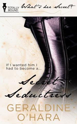 Cover of the book Secret Seductress by Beth D. Carter