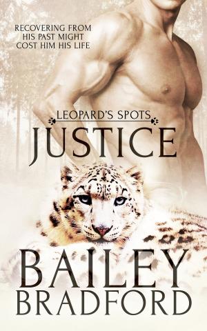 Cover of the book Justice by Lynne Connolly