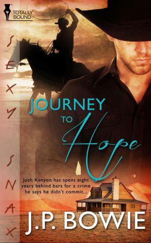 Cover of the book Journey to Hope by Jude Mason
