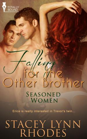 Cover of the book Falling For the Other Brother by Kristina Weaver