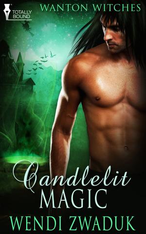 Cover of the book Candlelit Magic by Mandy Rosko