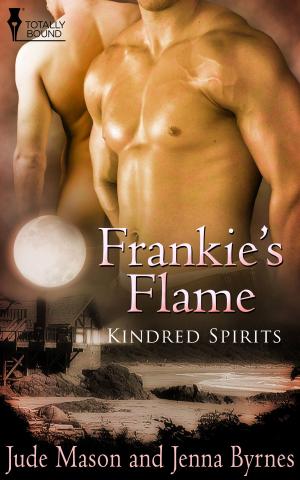 Cover of the book Frankie's Flame by Naomi Bellina