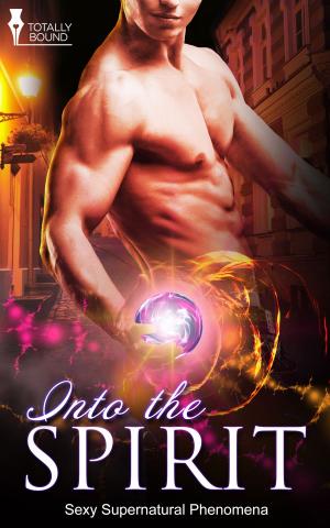 Cover of the book Into the Spirit by Katy Swann