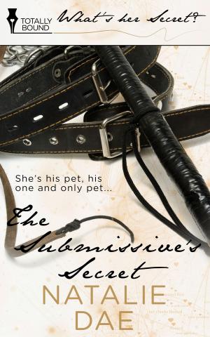 Cover of the book The Submissive's Secret by SJD Peterson