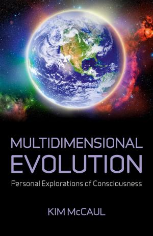 Cover of the book Multidimensional Evolution by Morgan Daimler