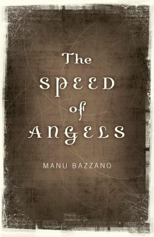 Book cover of The Speed of Angels