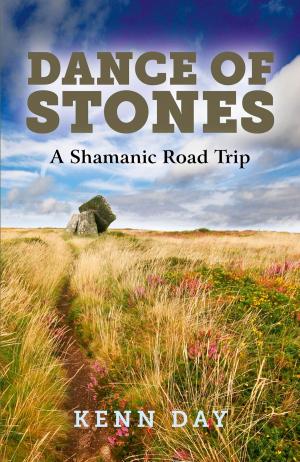 Cover of the book Dance of Stones by Steve Beard