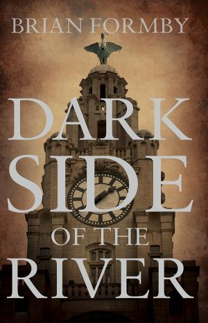 Cover of the book Dark Side of the River by James Marr