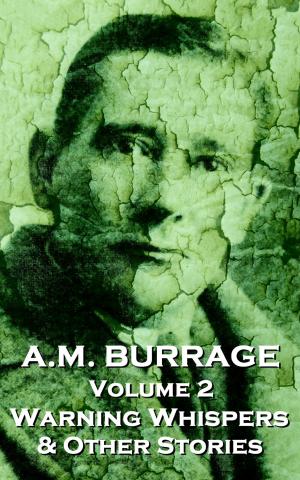 Cover of the book Warning Whispers & Other Stories by AM Burrage