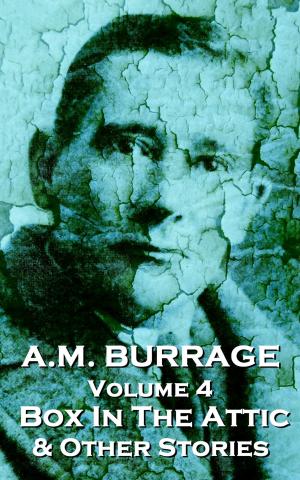 Cover of the book The Box In The Attic & Other Stories by AM Burrage