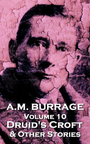 Cover of the book Druid's Croft & Other Stories by AM Burrage