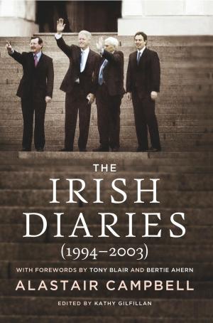 Cover of the book The Irish Diaries by J.P. Donleavy