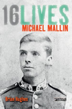 Cover of the book Michael Mallin by Lorcan Collins