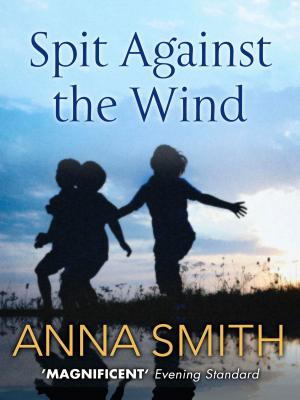 Cover of the book Spit Against the Wind by Anna Smith