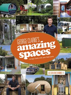 Book cover of Amazing Spaces