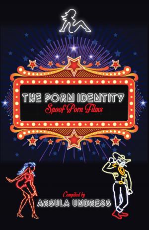 bigCover of the book The Porn Identity by 