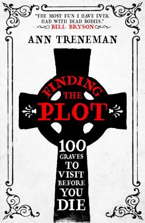 Cover of the book Finding the Plot by Mark Bennetts