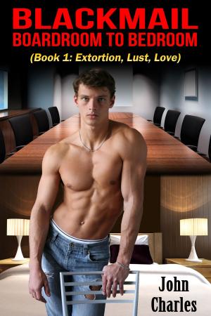 Cover of the book Blackmail: Boardroom To Bedroom by Phoebe Matthews