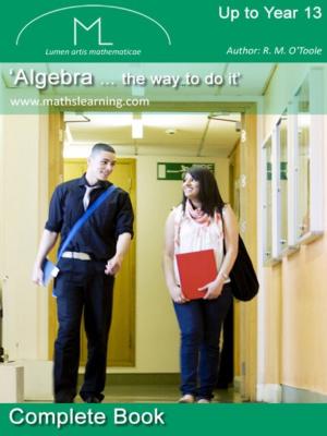 Book cover of Algebra '...the way to do it'
