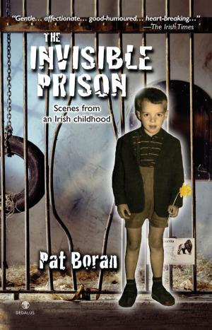 bigCover of the book The Invisible Prison: Scenes from an Irish Childhood by 