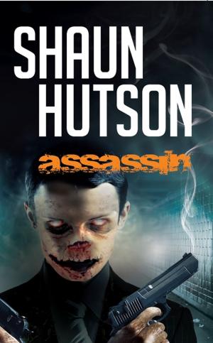 Cover of the book Assassin by RC Bridgestock