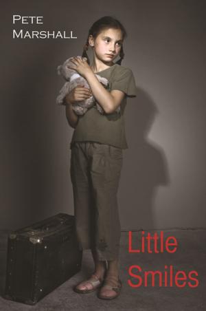 Cover of the book Little Smiles by Jennifer Young