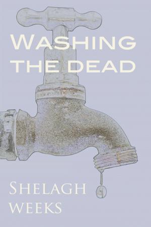Cover of the book Washing the Dead by Kate North