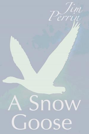 Cover of the book A Snow Goose by Stephanie Percival