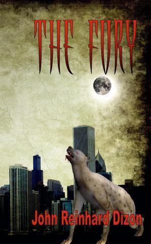 Cover of the book The Fury by Jan Millward
