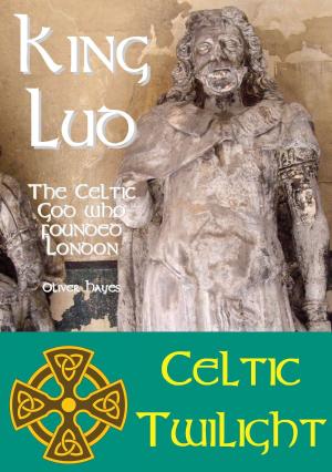 Cover of the book King Lud: The Celtic God Who Founded London by Barbara Hayes