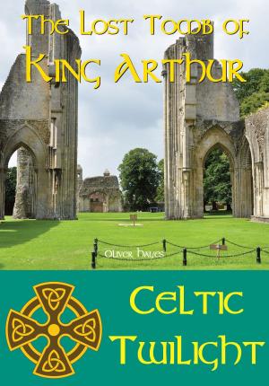 Cover of The Lost Tomb of King Arthur