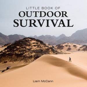 Cover of the book Little Book of Outdoor Survival by David Barrington Barnes