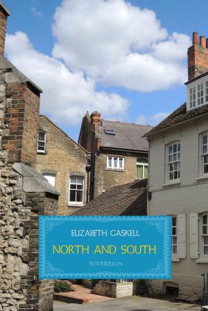 Cover of the book North and South by Plato