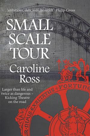 Cover of the book Small Scale Tour by Hilary Shepherd